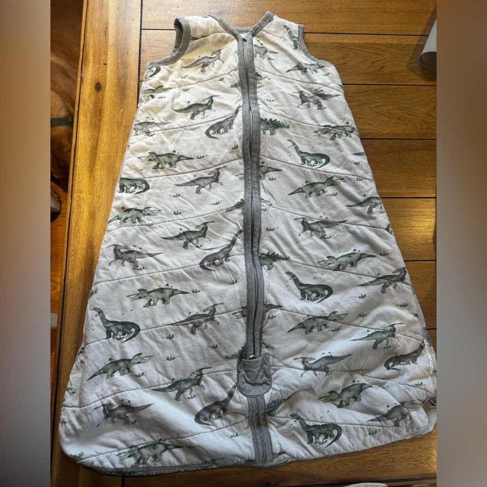 Burt's Bees Baby Gray Beekeeper Wearable Blanket